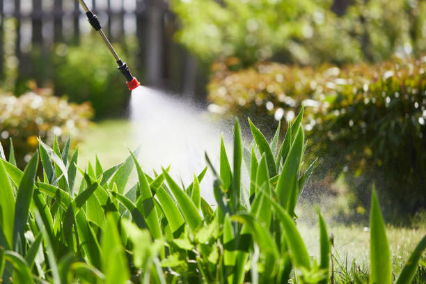 Tamper-Resistant Bait Stations for Rodents in Simmesport