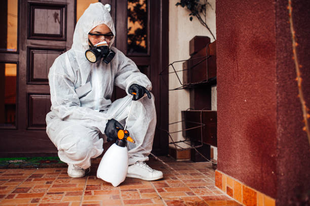 Attic and Crawl Space Rodent Treatment in Simmesport