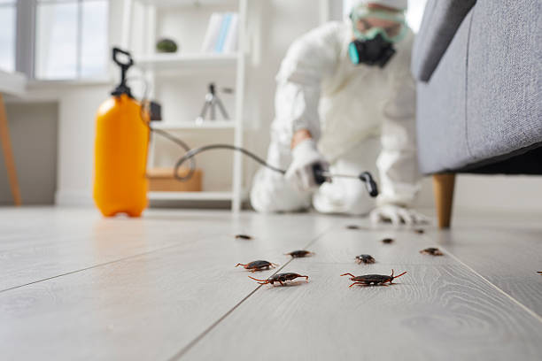 Commercial Rodent Management in Simmesport